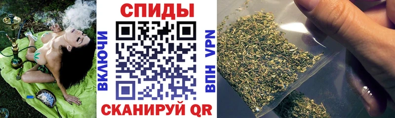 купить  сайты  Южноуральск  БУТИРАТ буратино 