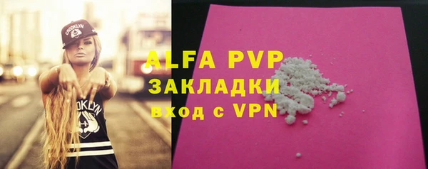 эйфоретик Бородино