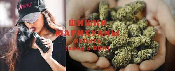 эйфоретик Бородино